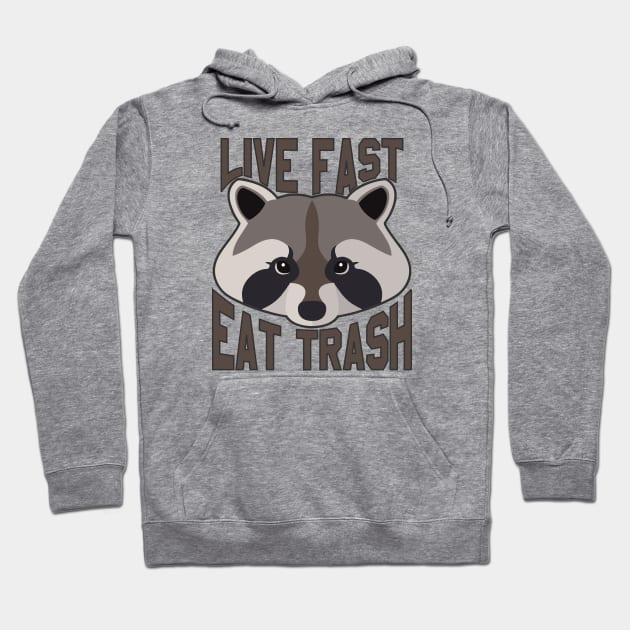 Live Fast Eat Trash Funny Raccoon Hoodie by Pittih